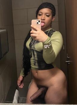 Ts Dammy